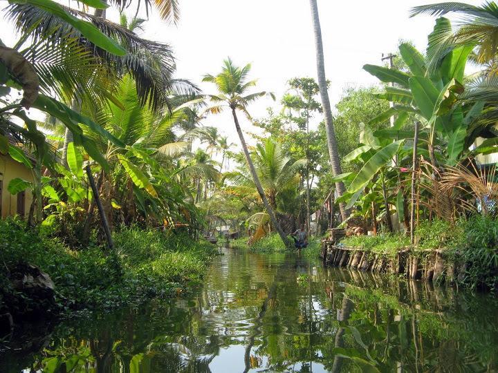 Alapatt Homestay Alappuzha Exteriör bild